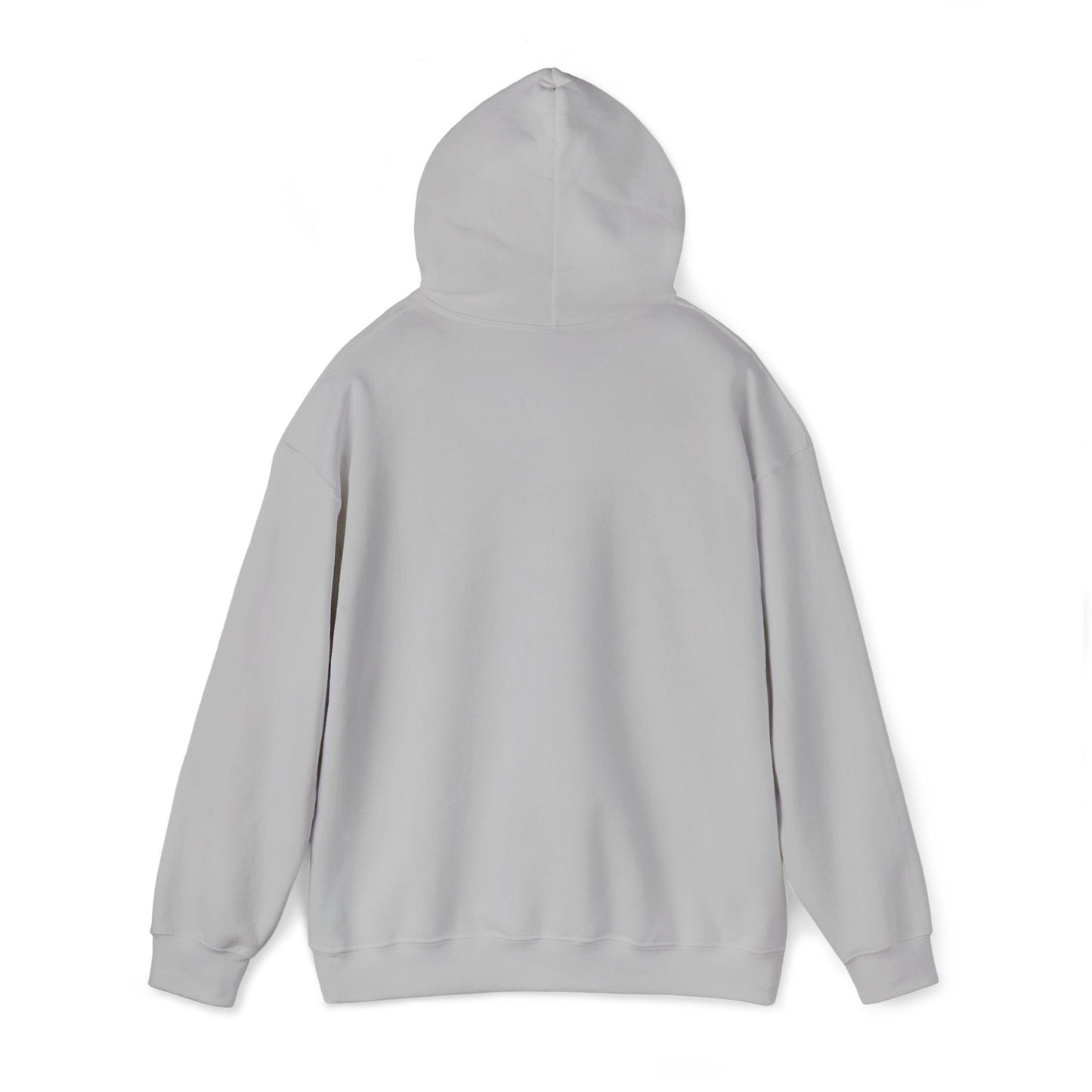 Do Not Disturb Cute Dog Sleeping Embroidered Hooded Sweatshirt
