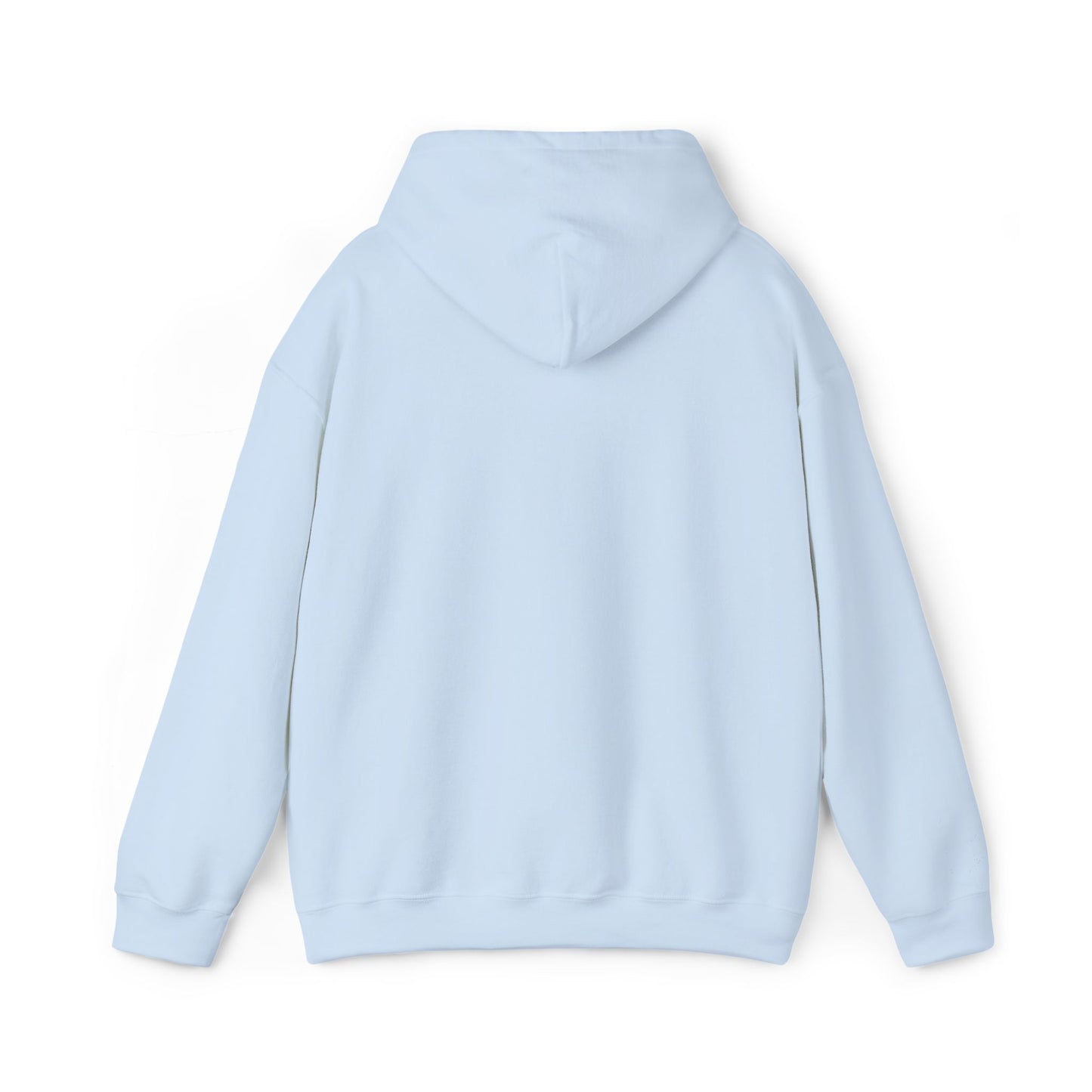 Do Not Disturb Cute Dog Sleeping Embroidered Hooded Sweatshirt