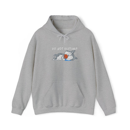 Do Not Disturb Cute Dog Sleeping Embroidered Hooded Sweatshirt