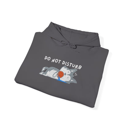 Do Not Disturb Cute Dog Sleeping Embroidered Hooded Sweatshirt