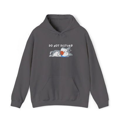 Do Not Disturb Cute Dog Sleeping Embroidered Hooded Sweatshirt