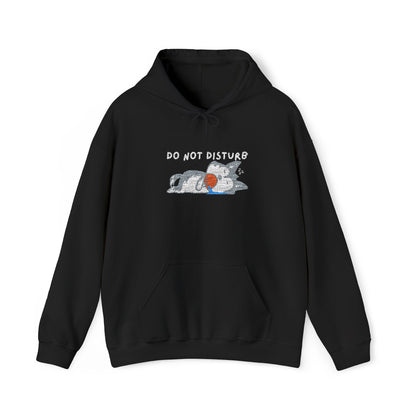 Do Not Disturb Cute Dog Sleeping Embroidered Hooded Sweatshirt